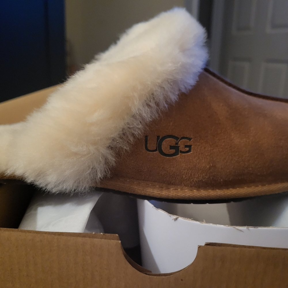 Ugg slippers